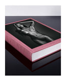 The Art of Beauty - Naomi Campbell